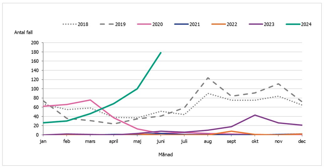 Antalet rapporterade fall av kikhosta per månad har ökat under hela 2024. I maj rapporterades 100 fall. Det är betydligt fler fall jämfört med maj åren 2018-2023.