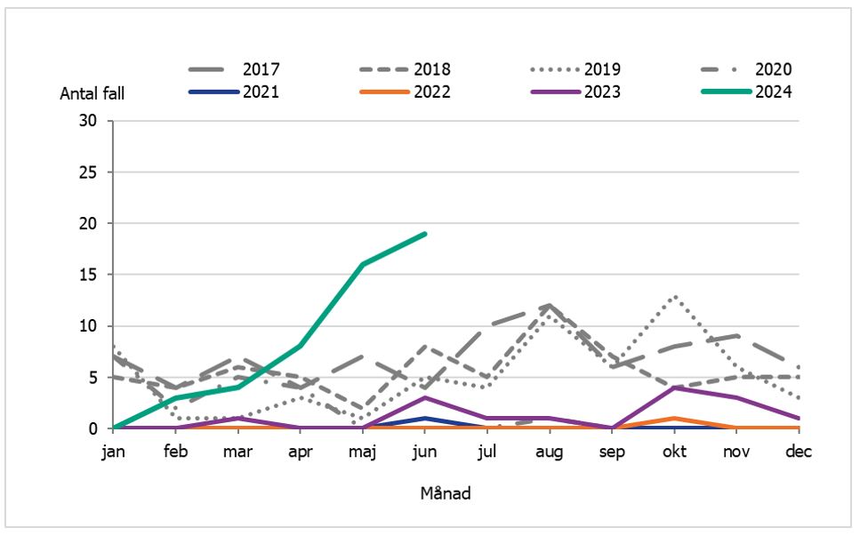 Antalet rapporterade fall av kikhosta per månad bland barn yngre än 1 år är stigande och betydligt fler än motsvarande period 2017-2023. I maj 2024 rapporterades 16 fall.