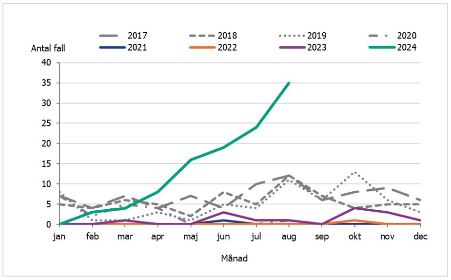 Antalet fall av kikhosta per månad bland barn yngre än 1 år är stigande och fler än period åren 2017-2023. I augusti 2024 rapporterades 35 fall.