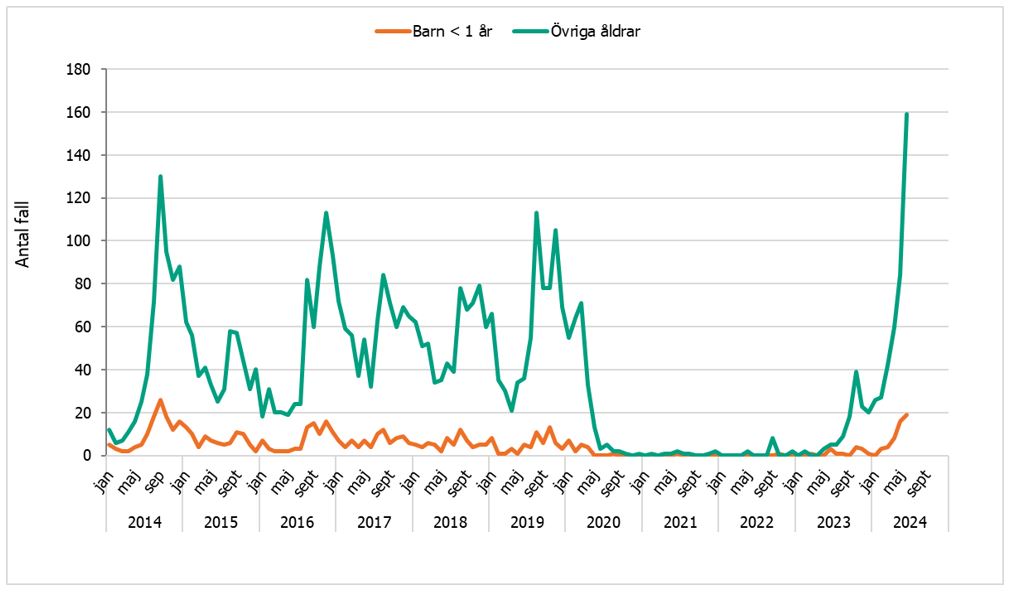 Antalet fall av kikhosta per månad ökar både bland barn yngre än 1 år och övriga. Under våren 2024 har fallen varit fler jämfört med motsvarande period sedan 2014. Under covid-19-pandemin var fallen mycket få.