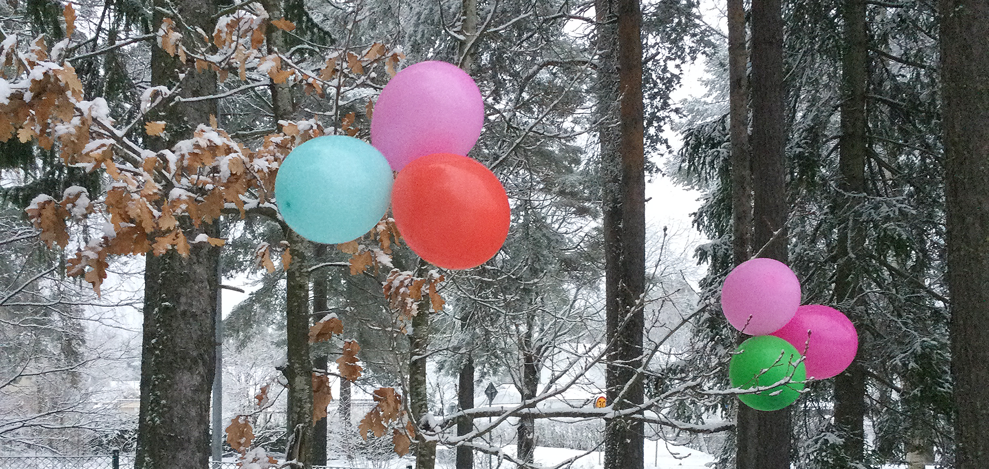 Förskolan Masurgården i Gävle pyntade skolgården med ballonger.