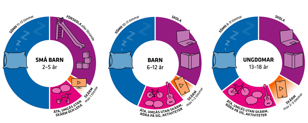 ”Dygnshjulet” visar hur barn kan fördela tiden mellan olika aktiviteter under en dag.