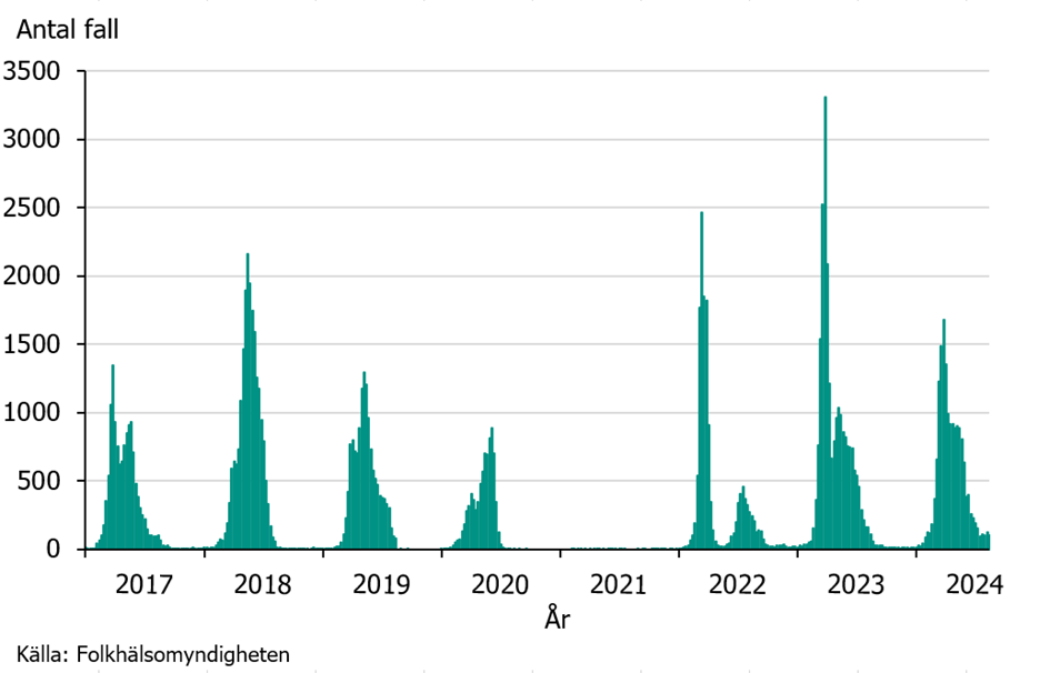 Säsongsvisa toppar av influensa syns varje vinter, förutom ett uppehåll under andra halvan av 2020 och hela 2021 då mycket få fall rapporterades. Källa: Folkhälsomyndigheten.