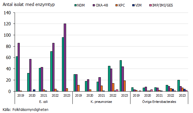 År 2023 ses lite fler isolat med OXA-48 än NDM hos E. coli och lite mer NDM-isolat hos K. pneumoniae. Källa: Folkhälsomyndigheten.