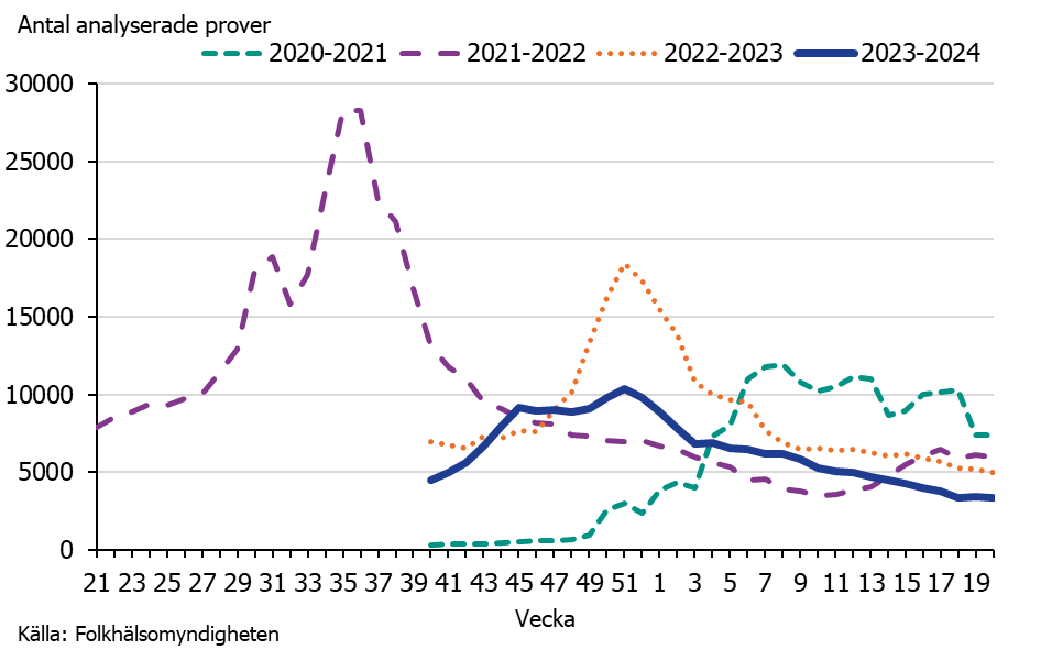 Säsongen 2023–2024 var provtagningen som högst vecka 51 med cirka 10 000 prover analyserade. Källa: Folkhälsomyndigheten.