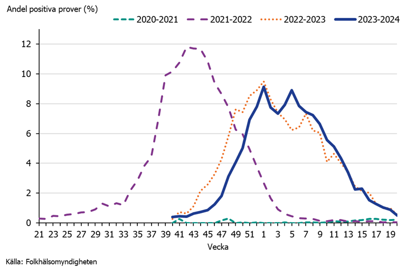 Högst andel positiva prover säsong 2023–2024 sett under vecka 1(9 procent). Källa: Folkhälsomyndigheten.