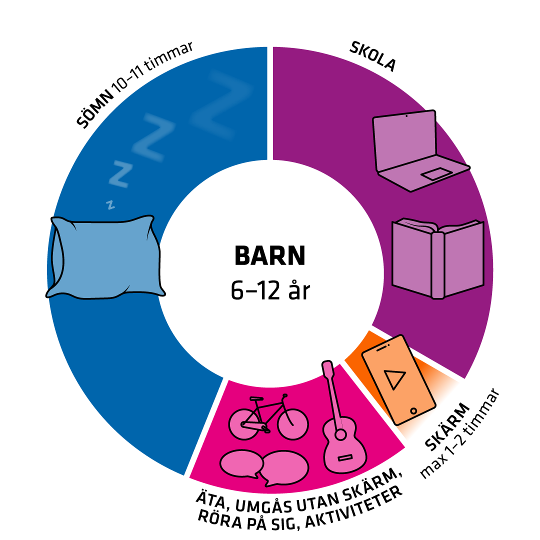 Illustration av dygnshjul.