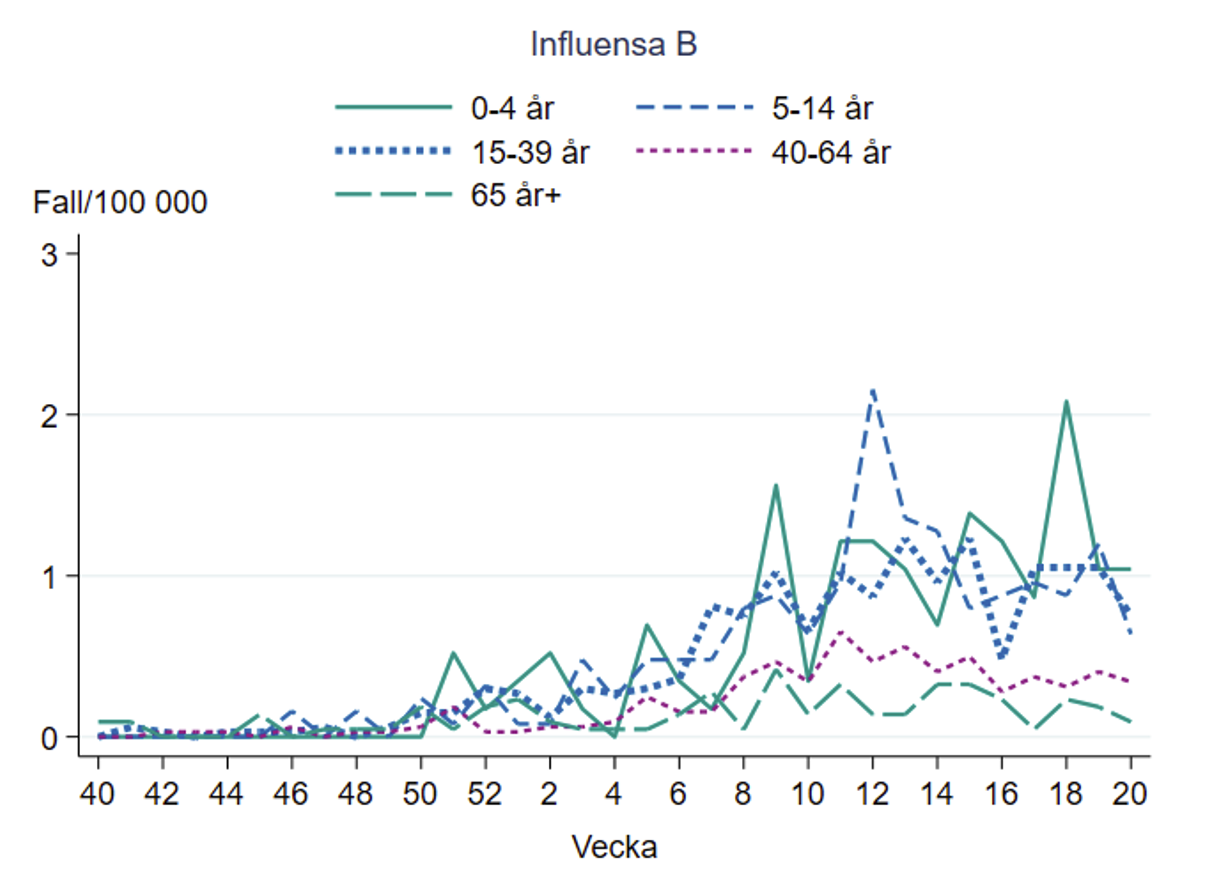 Antalet fall av influensa B i förhållande till befolkningen var lägst i åldersgruppen 65 år och äldre. 